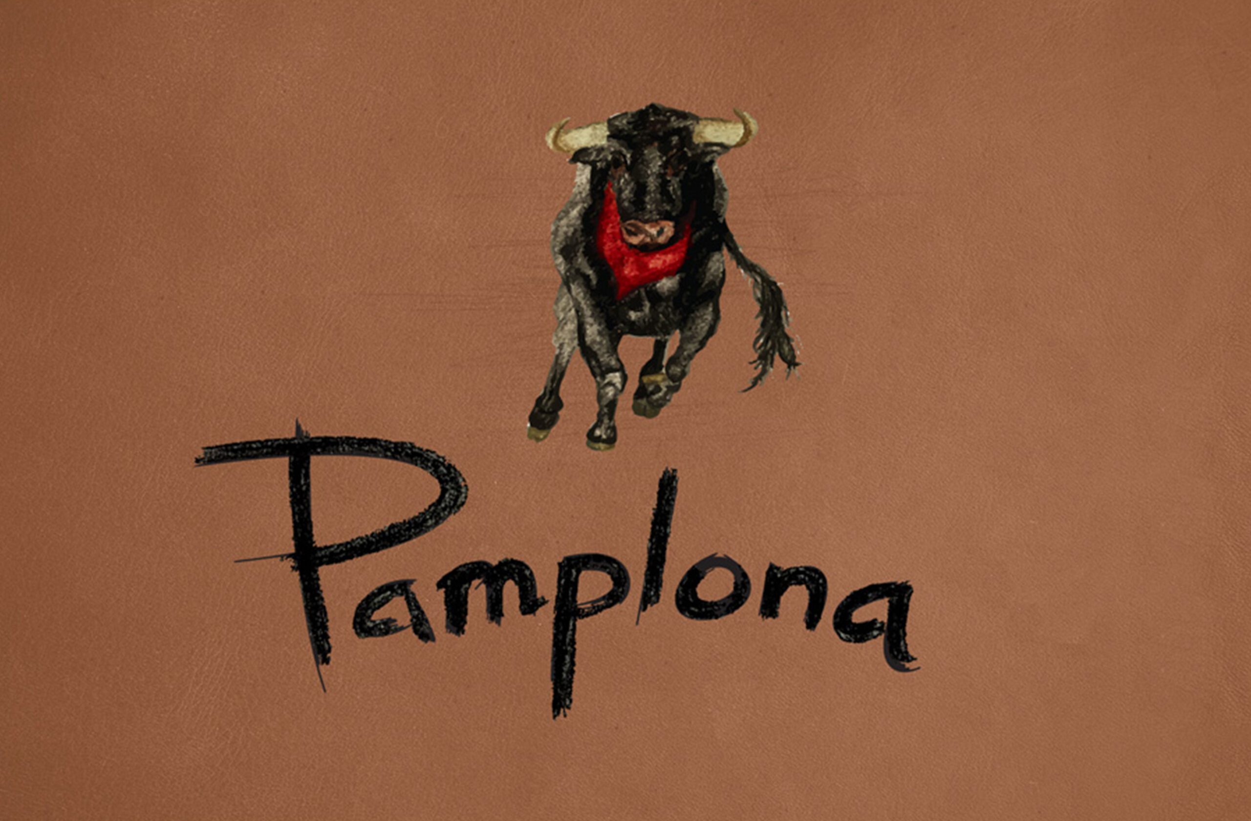 Pamplona1